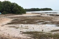 Frente Frío 13 provoca retiro del agua de la Bahía de Chetumal