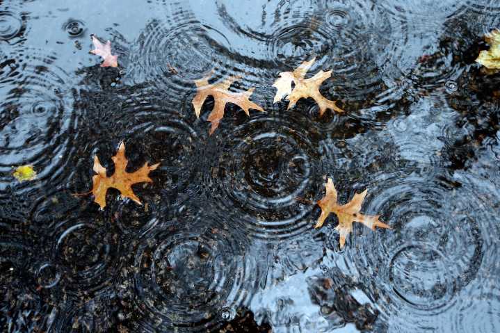 Mass. weather: Rainy Sunday, snow possible this week