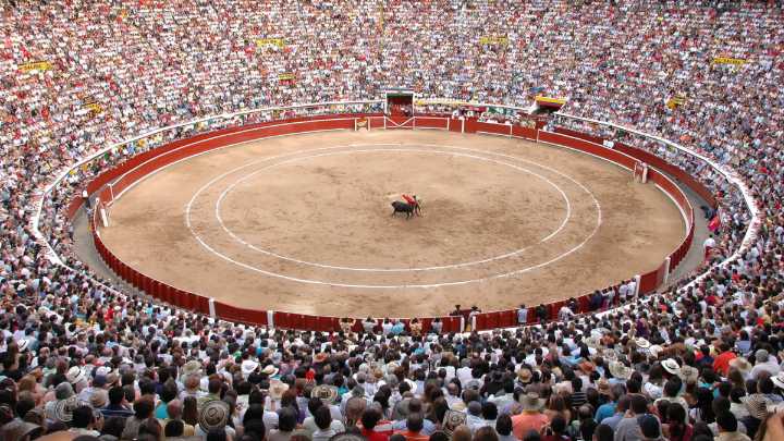 ¿Temporada taurina en Cali, con los días contados?: dudas por la aplicación de la ley 'No más olé' durante la 'fiesta brava' de fin de año