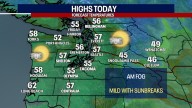 Seattle weather: Far fewer showers ahead
