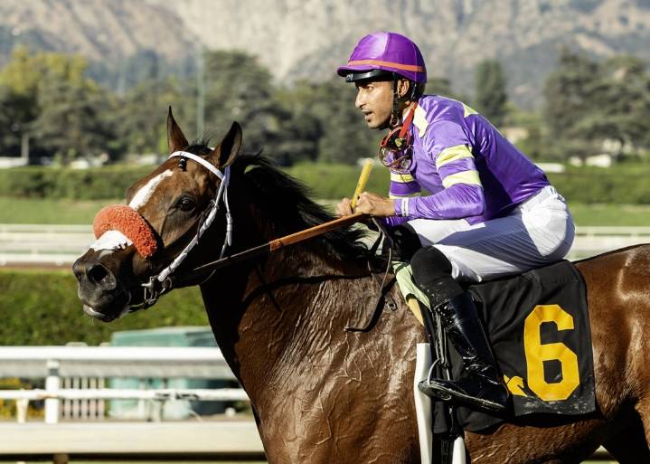 Horse racing notes: Man O Rose flaunts versatility at Del Mar