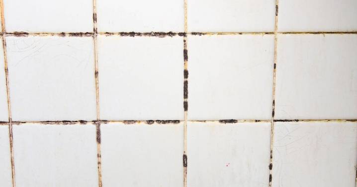 Mould will instantly disappear from bathroom using 1 common item