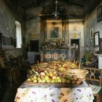 Italian fruit detective racing to save forgotten varieties