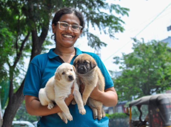 Pet Owners Seek Deadline Extension As Chennai’s Dog Microchipping Drive Faces Long Lines, Portal Glitches