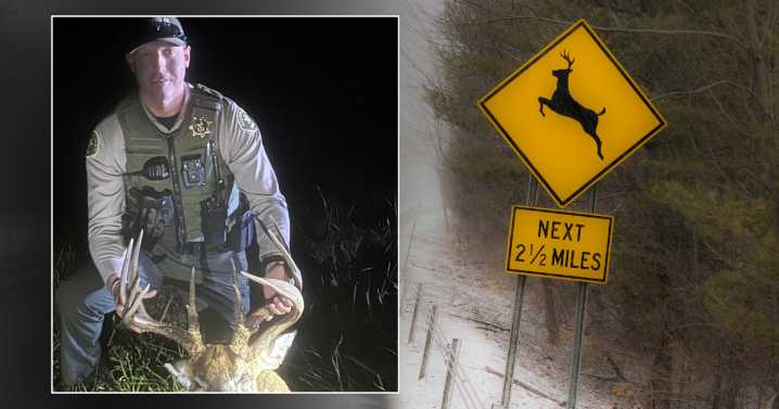 Jessamine County deputies warn drivers as deer collisions spike during mating season
