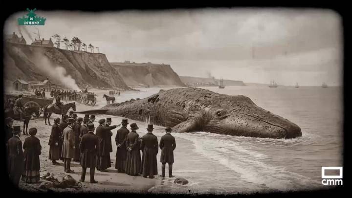 Museo de Ciencias Naturales de Los Yébenes en El Pueblo Más Bonito de Castilla