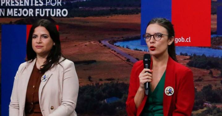 Gobierno desestima argumento del CNTV ante negativa a exhibir campaña por violencia contra las mujeres en periodo electoral