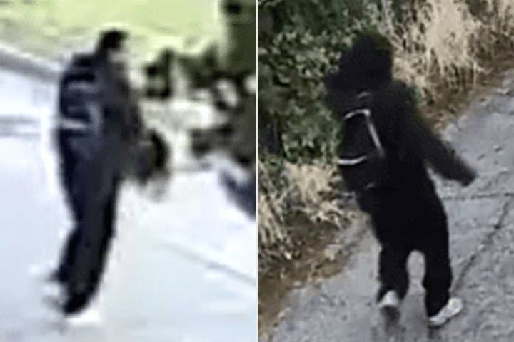 Thief Demanded Woman, 88, Give Him Ring. Then He Bit Off Her Finger to Steal It