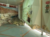 Centro educativo en La Portada busca dar a conocer, y con ello proteger la fauna local