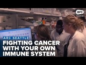 How your immune system remembers past infections and what it means for fighting cancer