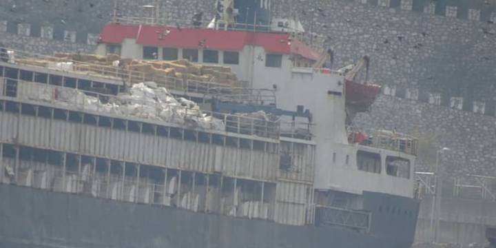 El buque con casi 3.000 vacas uruguayas que quedaron varadas en Turquía fue redireccionado a Libia: murieron 40