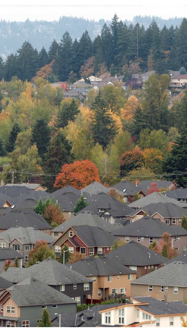 Is it legal to not collect leaves in front of your home?