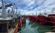 Referentes del sector de la pesca denuncian "poca transparencia" de la actividad