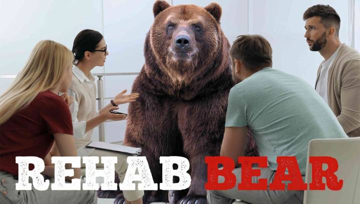 Sequel 'Rehab Bear' Green-Lit By Producers