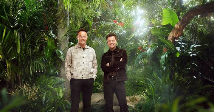 I'm A Celebrity stars who have quit the jungle over the years