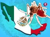 ¿Cuántos casos de dengue hay en México? Esta es la cifra que tiene Ssa