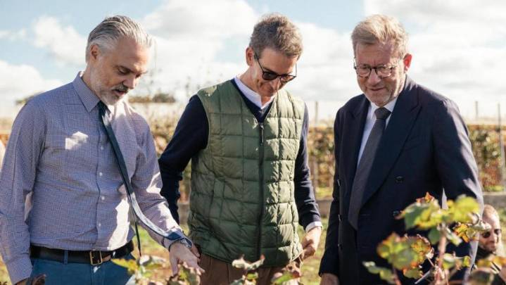 Giorgio Armani Group Presents First Apulia Regenerative Cotton Project Results