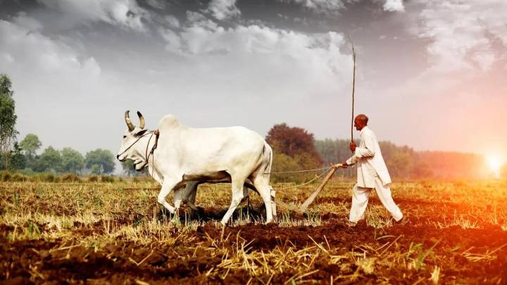 'Rs 6 credited to farmer was interest, not government crop loss aid'