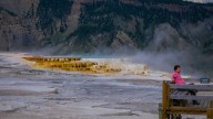 Yellowstone National Park's Top Moment Of The Shutdown Was Caught Thanks To A Visitor's Bold Prediction