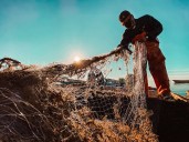 México se encuentra entre los 15 principales productores pesqueros a nivel mundial