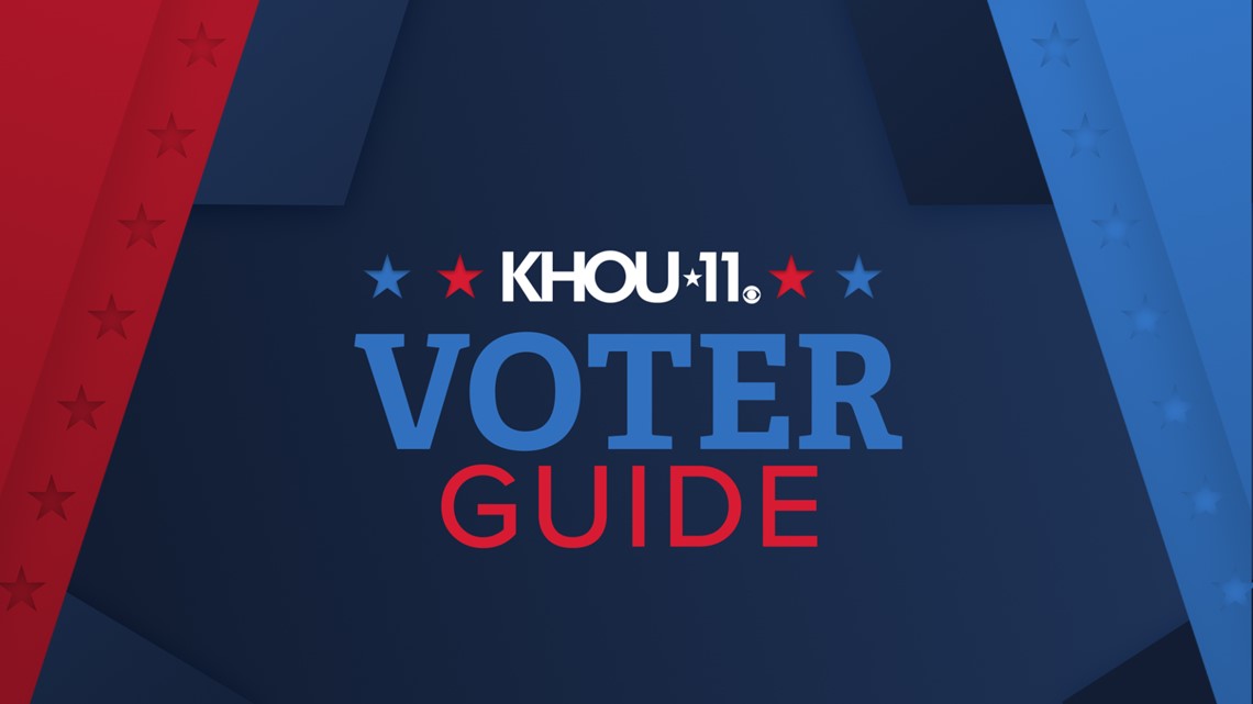 Voting guide for November 4 elections