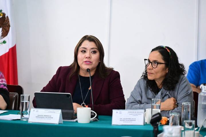 Alcaldesa de Tláhuac pide 2 mil 900 mdp más de presupuesto para 2026; "Venimos a pedir justicia, no a pedir privilegios", dice