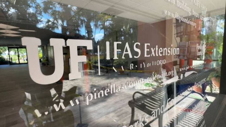 Pinellas Co. to continue UF/IFAS Extension partnership