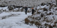Primera tormenta invernal afecta estados del Norte y temperaturas de -5 °C a cuatro entidades más del centro del país