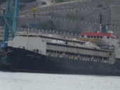 Odisea de un buque con 2.901 vacas uruguayas en Turquía: no lo dejan desembarcar y los animales llevan casi dos meses en el mar