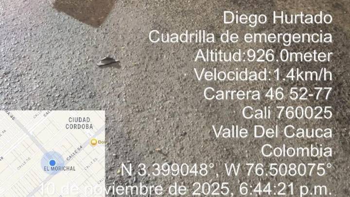 Hombre murió tras la caída de un árbol en el barrio Ciudad Córdoba de Cali; Dagma investiga las causas