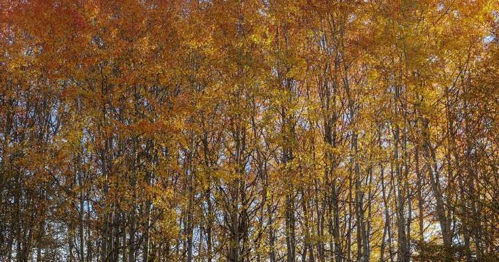 Near-record warmth hits Colorado before a big cool down Monday