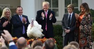 A tradition for turkeys: Another presidential pardon