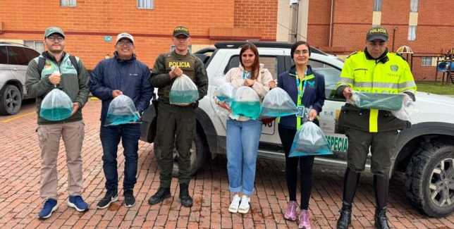 Operativo en Cundinamarca desmantela criadero ilegal de ajolotes en peligro crítico