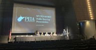 'Going to cause a massive exodus' : Dozens turn out for PEIA rate hike hearing