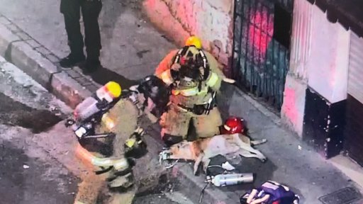 Bomberos salvan a un perrito atrapado en incendio en el centro de Medellín