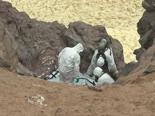 Investigan hallazgo de cuerpo en borde costero