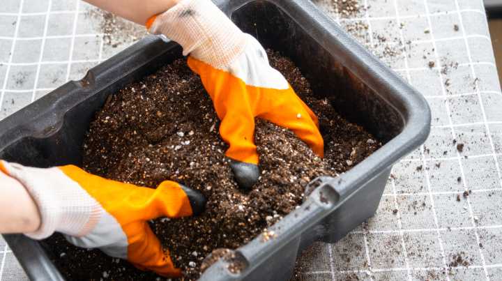 Two Qualities That Matter Most When Selecting Potting Soil