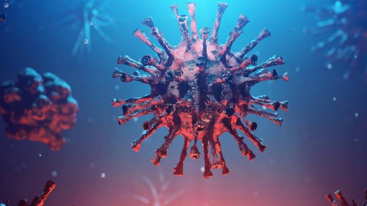 Scientists discover ancient bacteria that could help stop modern viruses