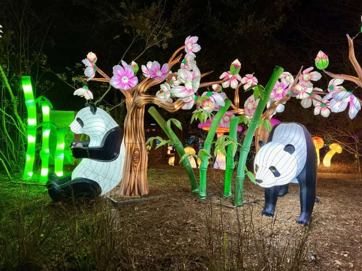 16 weekend events, including kick off to Glow Wild + Market Noel @ The Finley Center