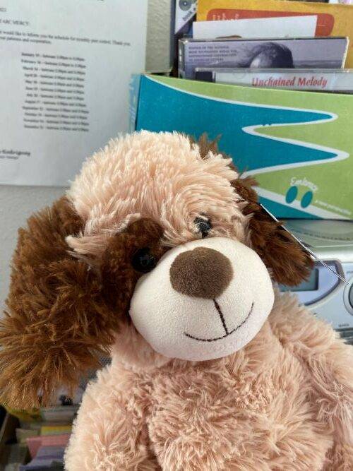 SFFD Seaside Cliff Dog Rescue At Fort Funston