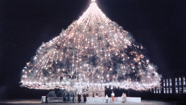 From the archives: World's Largest Living Christmas Tree…