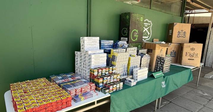 Carabineros incauta más de $15 millones en productos ilegales durante fiscalización en Barrio Meiggs