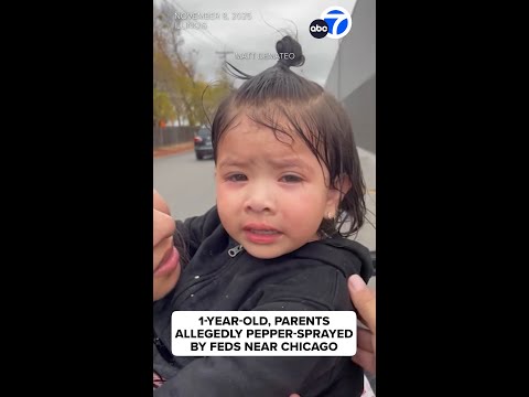 1-year-old, parents allegedly pepper-sprayed by feds near Chicago