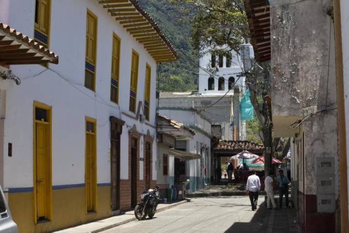 Encuentran un gato muerto en Valparaíso en medio de investigación por envenenamiento de cinco perros