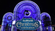 SeaWorld San Antonio kicks off holiday season with annual Christmas Celebration