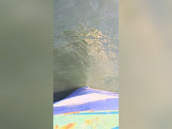 Nuevo video evidencia participación del PAM Cobra en tragedia de la Bruma