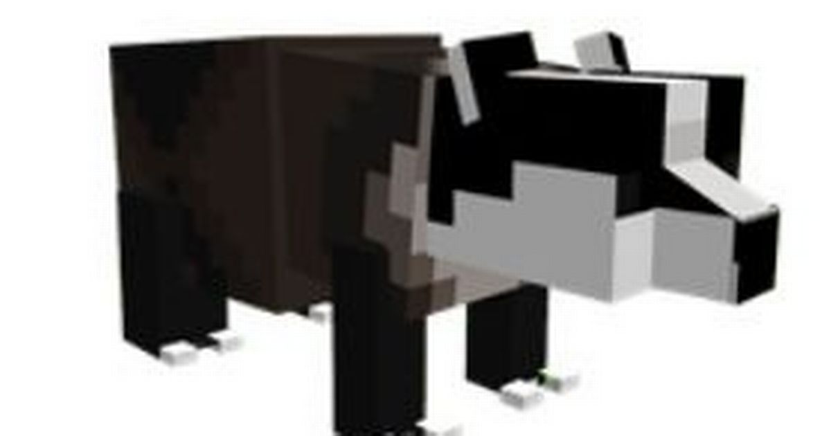 Nature and Minecraft help Plymouth students thrive beyond classrooms