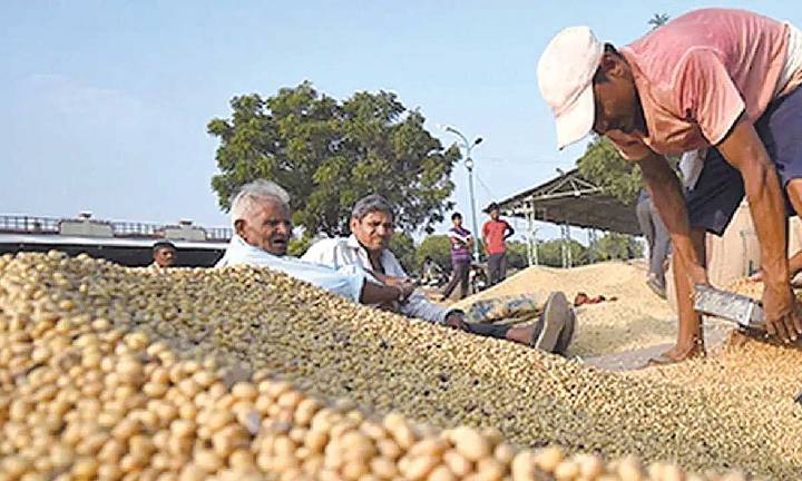 Relief for soybean farmers as govt sets up procurement centers