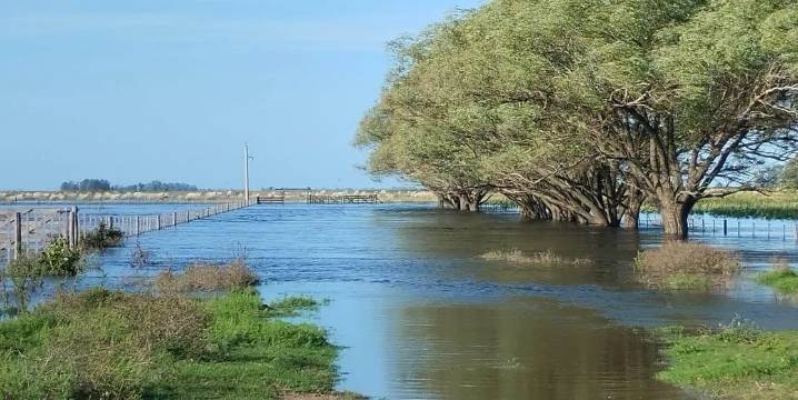La Provincia exime del Impuesto Inmobiliario Rural a campos de distritos de la region afectados por inundaciones