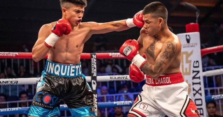 Boxeo profesional regresa a Querétaro